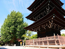 Load image into Gallery viewer, 【ON-LINE】 Live Walking Tour in Old Township in Takayama (45 min)
