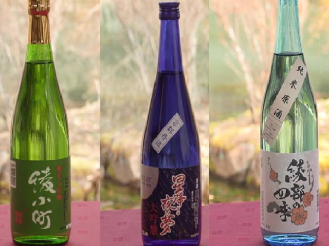 ON-LINE Sake Brewery Tour in Kyoto (40 min) 【In Turkish】 Sake Fabrikası Tur