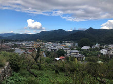 Load image into Gallery viewer, 【ON-LINE】Walking Tour In Nagatoro Town In Mountains Near Tokyo (60 min)
