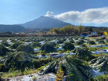 Load image into Gallery viewer, 【ON-LINE】Feel Energy and Life on an active volcano, Mt. Sakurajima Tour (60 min)

